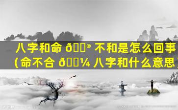 八字和命 💮 不和是怎么回事（命不合 🌼 八字和什么意思）